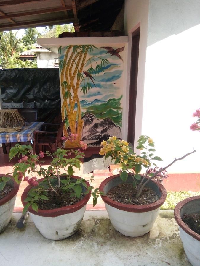 Bentota Orchid House Panzió Kültér fotó