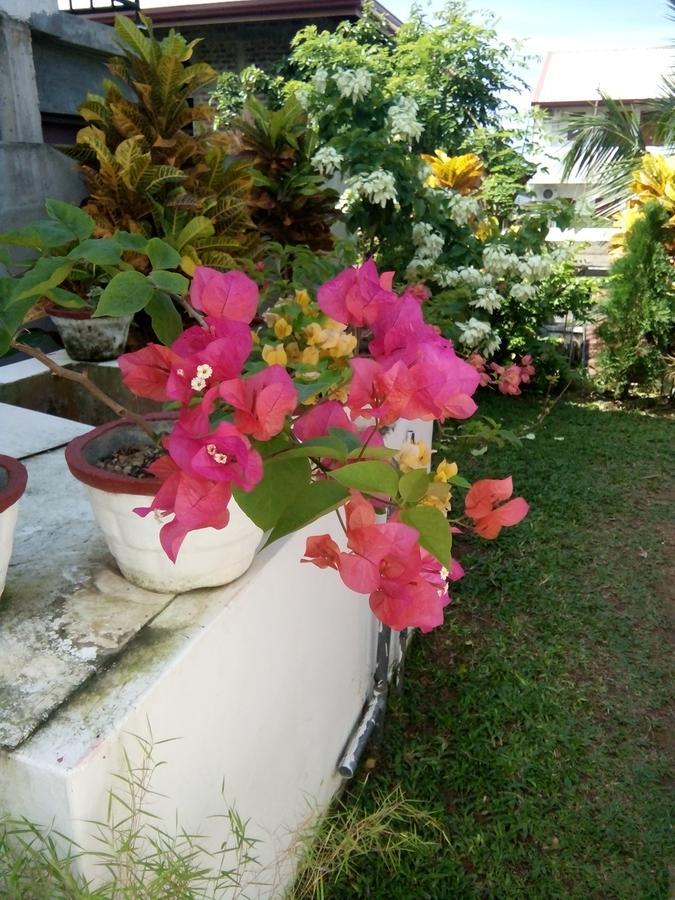 Bentota Orchid House Panzió Kültér fotó
